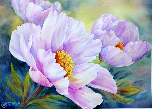 水彩花卉作品
