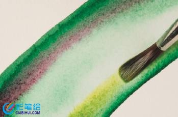 水彩畫花卉技巧