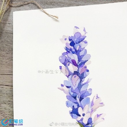水彩畫教程薰衣草