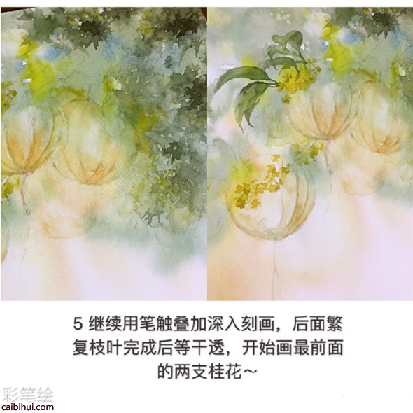 水彩畫樹教程：桂花樹的水彩畫畫法教學(xué)