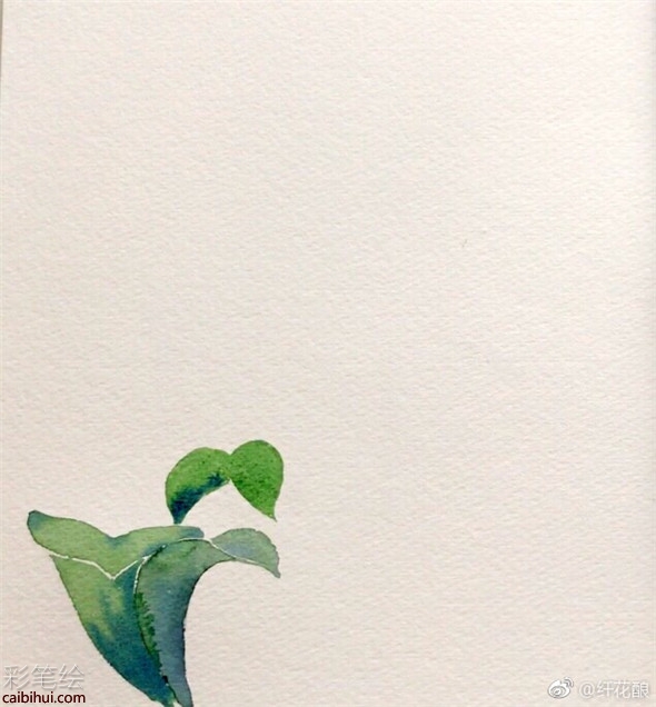 水彩畫怎么畫菊花?簡單的菊花水彩畫教程