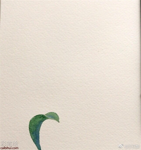 水彩畫怎么畫菊花?簡單的菊花水彩畫教程