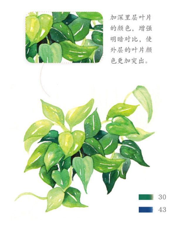 水彩透明玻璃和綠葉植物的畫法