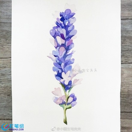 水彩畫教程薰衣草