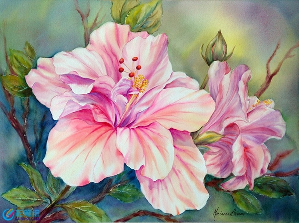 水彩花卉作品