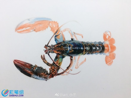 超寫實(shí)大龍蝦彩鉛畫教程