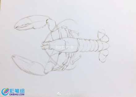 超寫實(shí)大龍蝦彩鉛畫教程