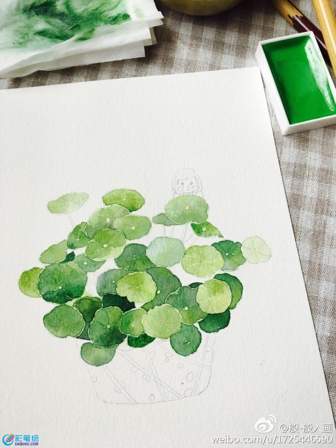 水彩畫盆栽銅錢草
