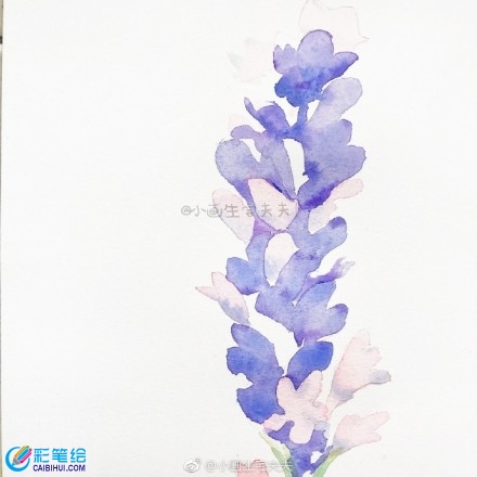 水彩畫教程薰衣草