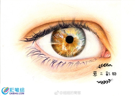 手繪彩鉛畫眼睛