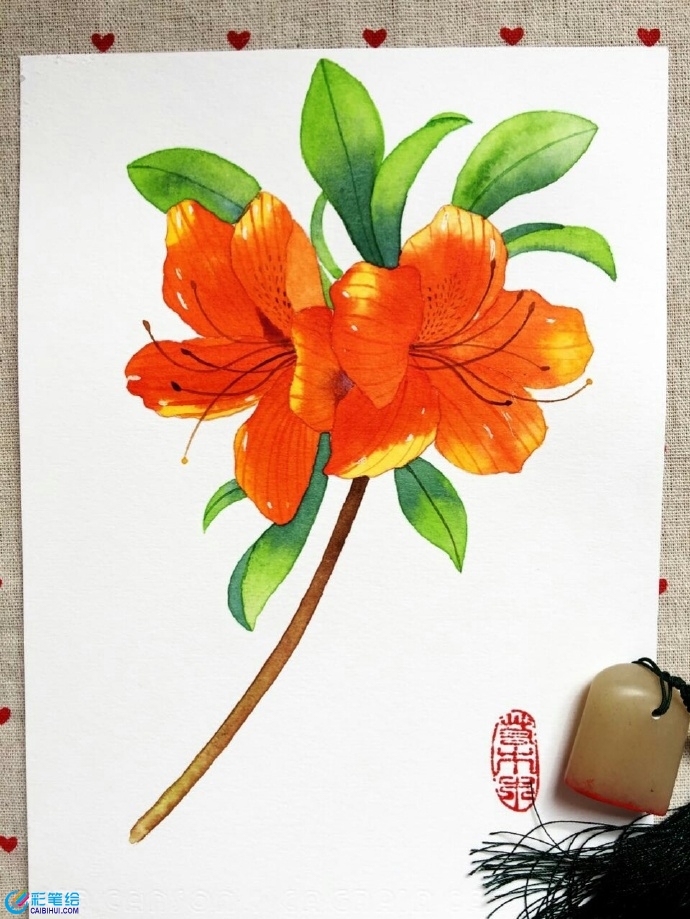 水彩畫杜鵑花