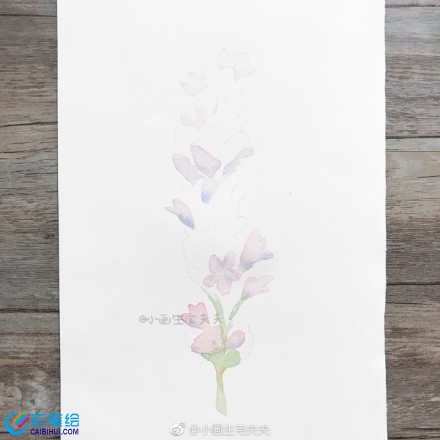 水彩畫教程薰衣草