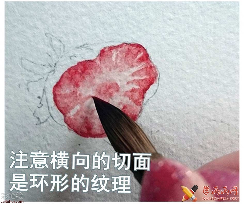 水彩畫(huà)手繪教程_草莓蛋糕的畫(huà)法(8)