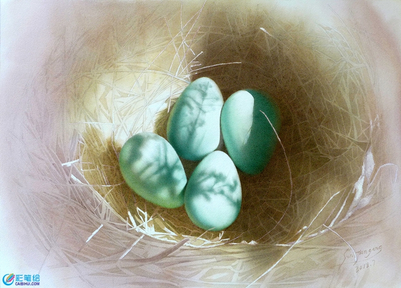 水彩畫鳥窩