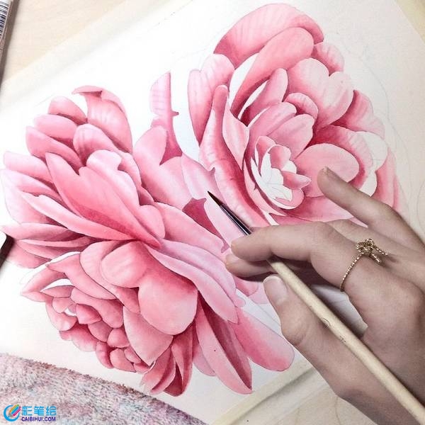 水彩畫植物 (2)