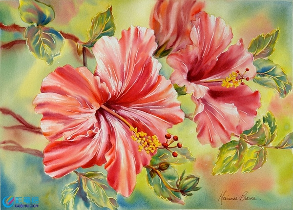 水彩花卉作品