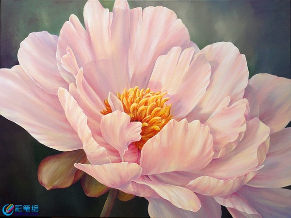 水彩花卉作品