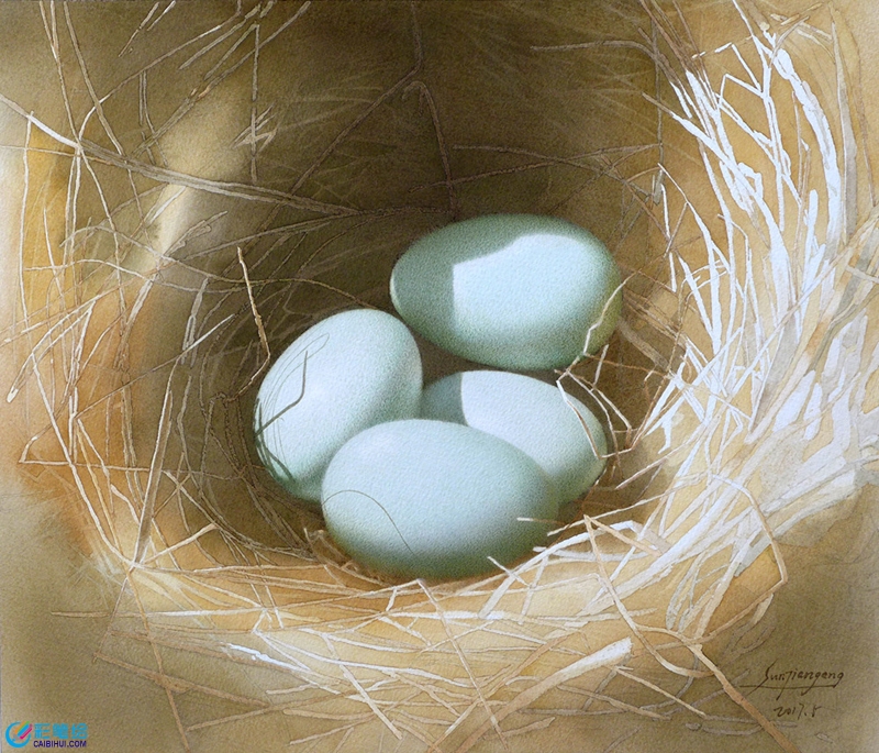水彩畫鳥窩