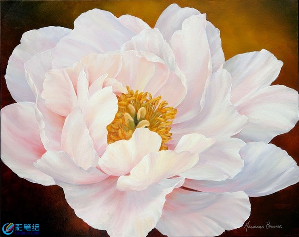 水彩花卉作品