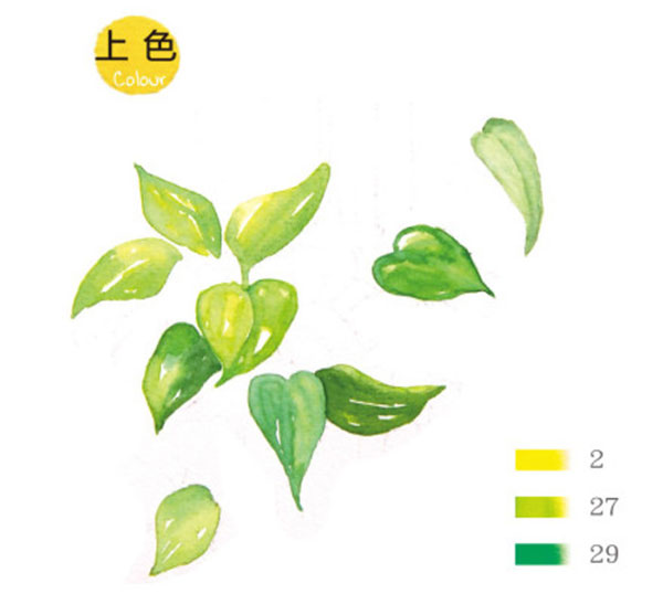 水彩透明玻璃和綠葉植物的畫法