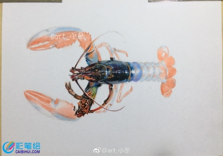 超寫實(shí)大龍蝦彩鉛畫教程