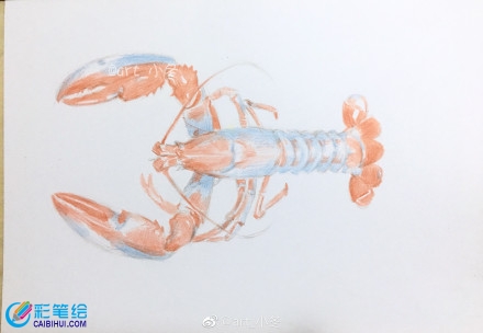 超寫實(shí)大龍蝦彩鉛畫教程