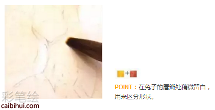 彩鉛畫貓咪步驟教程