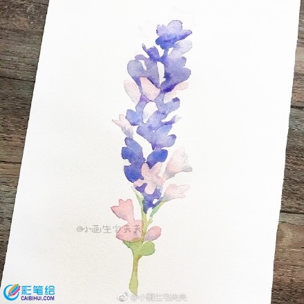 水彩畫教程薰衣草