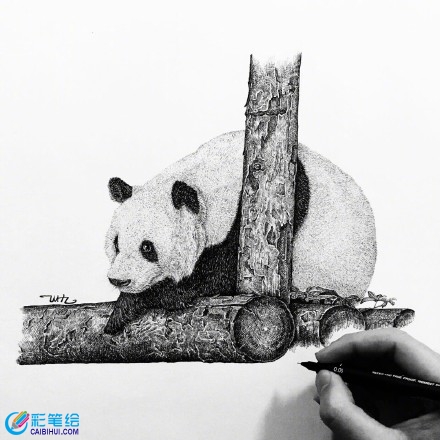 針管筆畫動物 針管筆畫動物