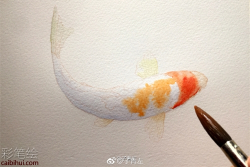 水彩畫錦鯉的畫法