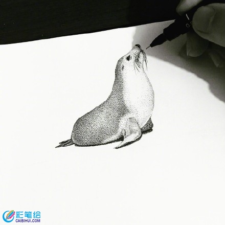 針管筆畫動物 針管筆畫動物