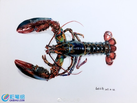 超寫實(shí)大龍蝦彩鉛畫教程