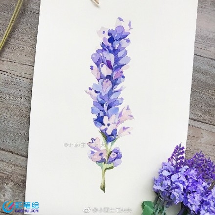 水彩畫教程薰衣草