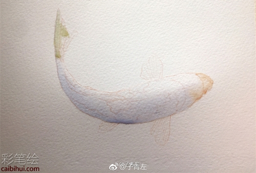水彩畫錦鯉的畫法