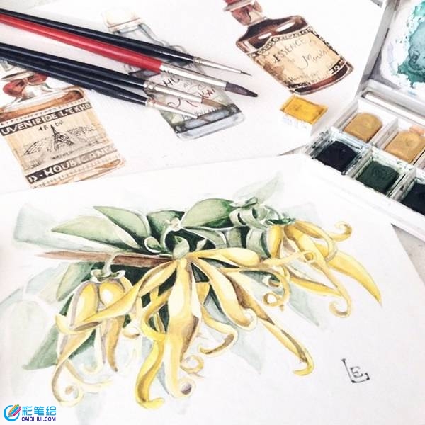 水彩畫植物 (12)