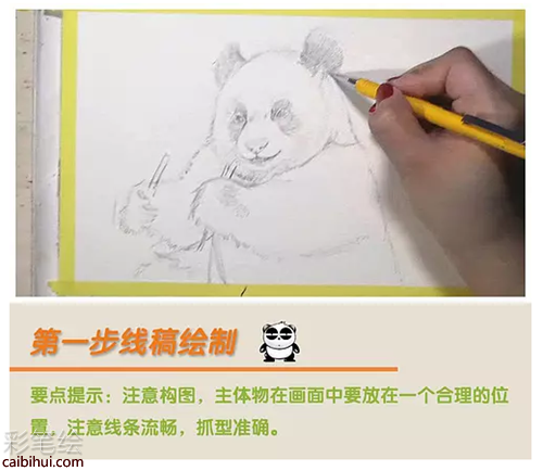 水彩畫動物：大熊貓水彩畫教程