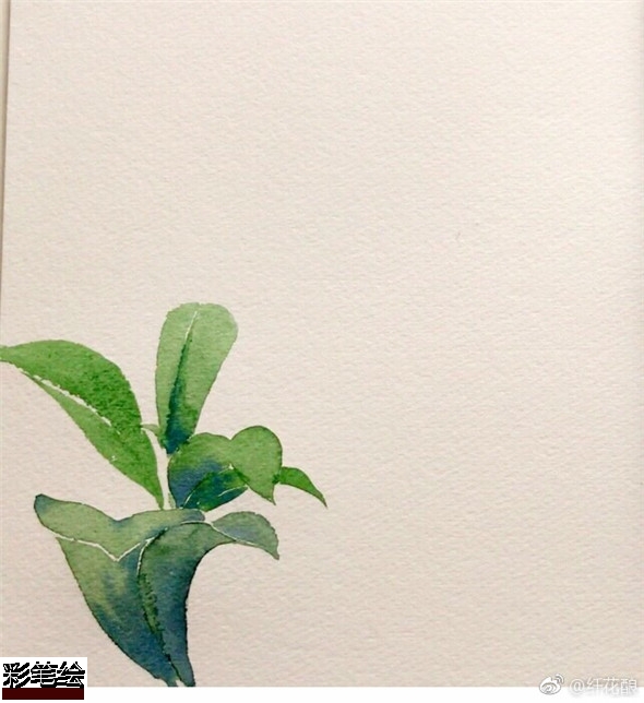 水彩畫怎么畫桂花?簡單的桂花水彩畫教程