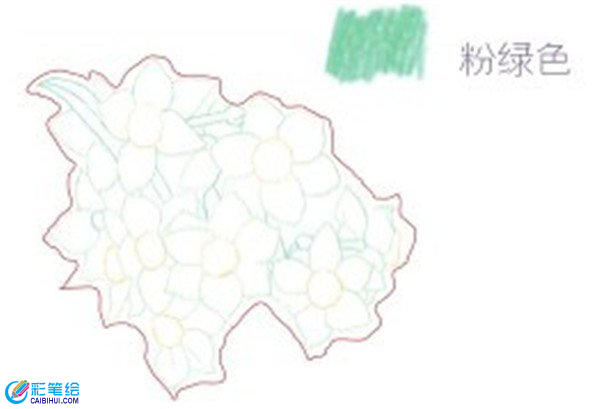 彩鉛畫水仙花的畫法