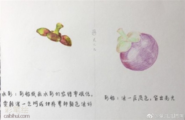 彩鉛畫教程：水果草莓彩的彩鉛畫畫法