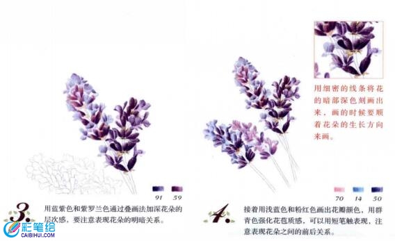彩鉛薰衣草的畫(huà)法步驟