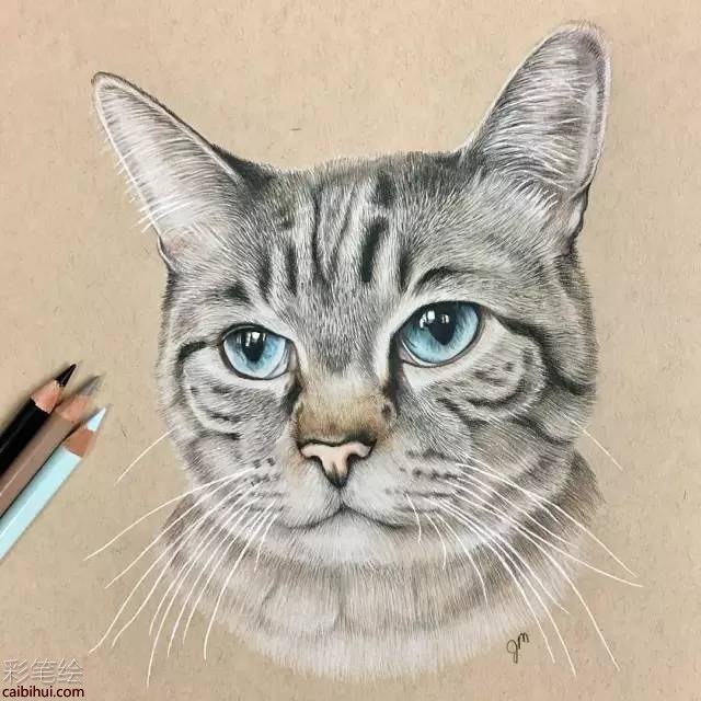 可愛動物萌寵動漫寫實彩鉛畫