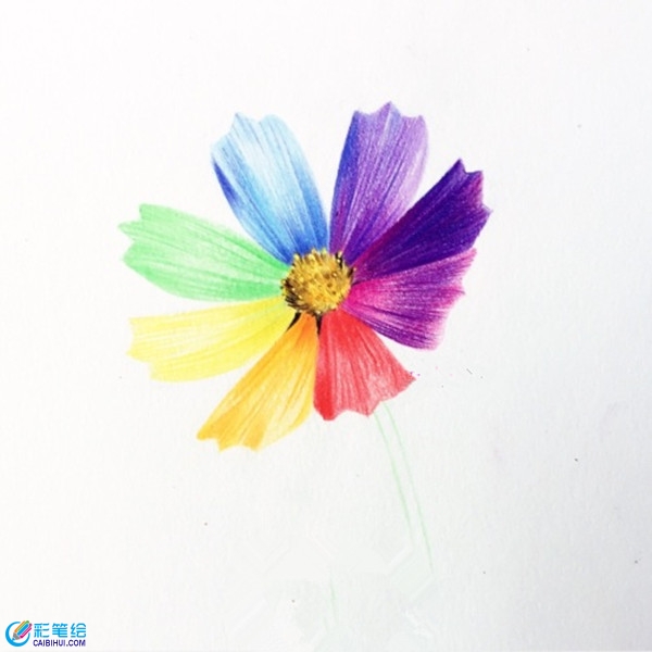 簡(jiǎn)單彩鉛花朵教程圖解：七色花的畫(huà)法