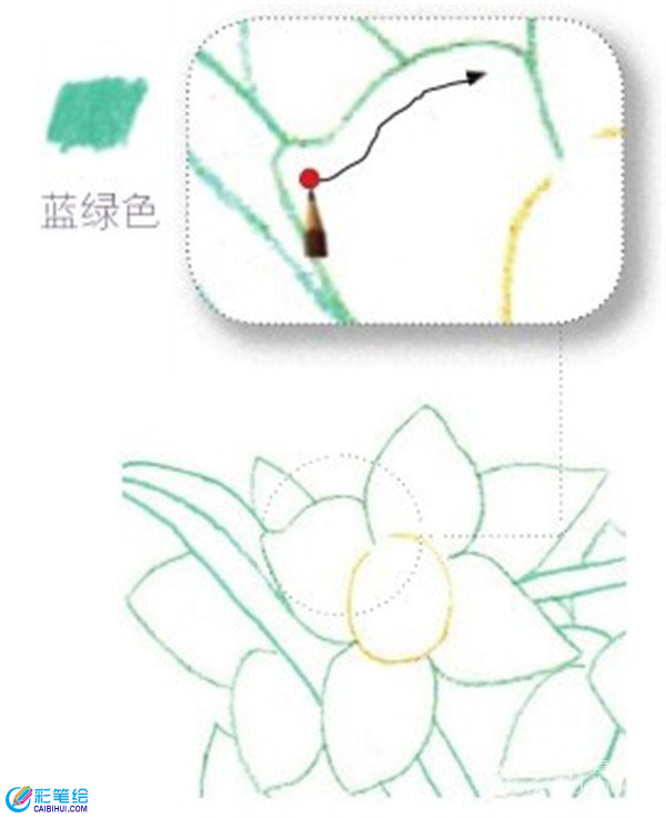 彩鉛畫水仙花的畫法