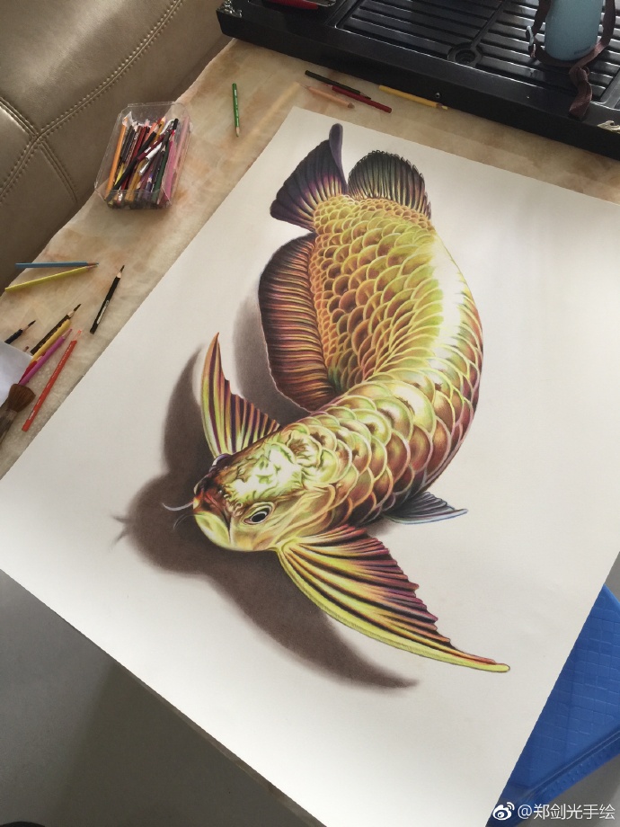 彩鉛畫(huà)金龍魚(yú)