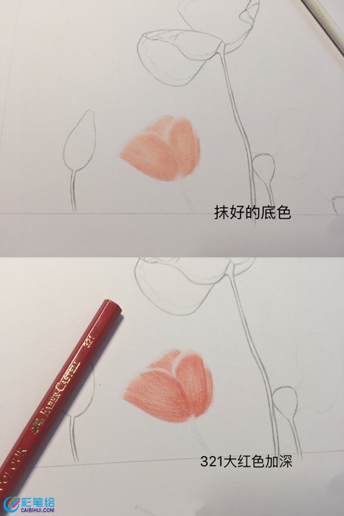 彩鉛虞美人教程