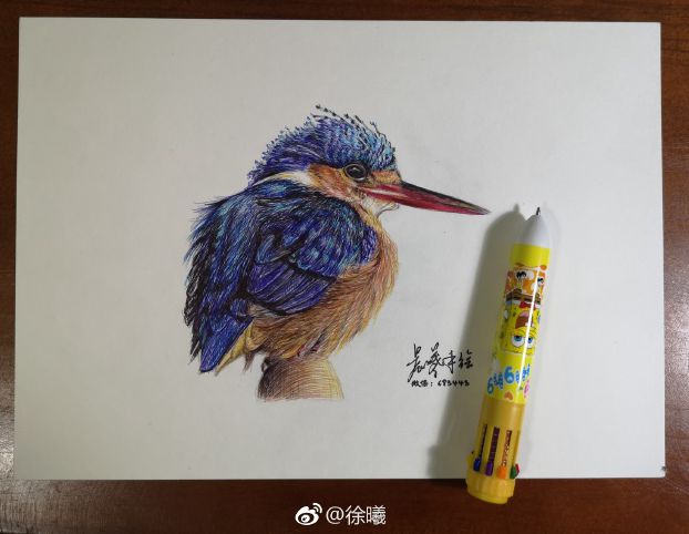 圓珠筆畫動物