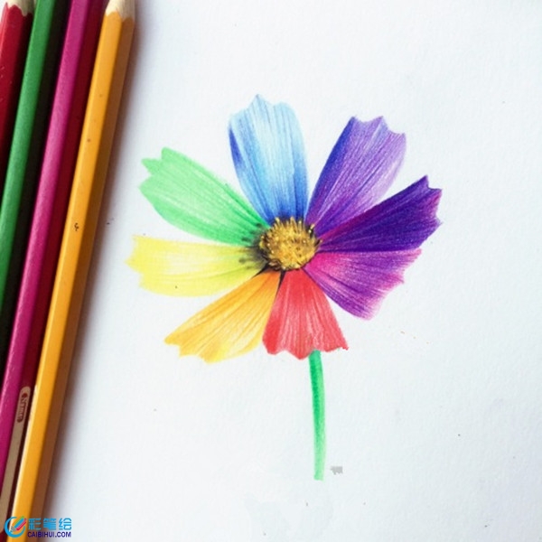 簡(jiǎn)單彩鉛花朵教程圖解：七色花的畫(huà)法