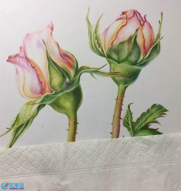 超實(shí)用的彩鉛畫技巧