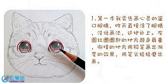 彩鉛畫基礎(chǔ)技法教學(xué)：彩鉛畫上色步驟精講