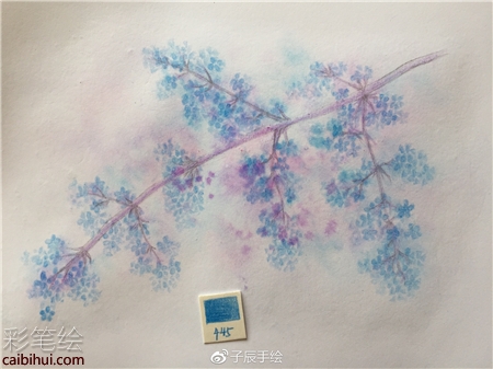 彩鉛畫花卉步驟圖